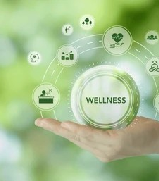 Wellness Packages
