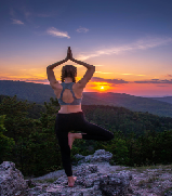 Satvic Detoxification